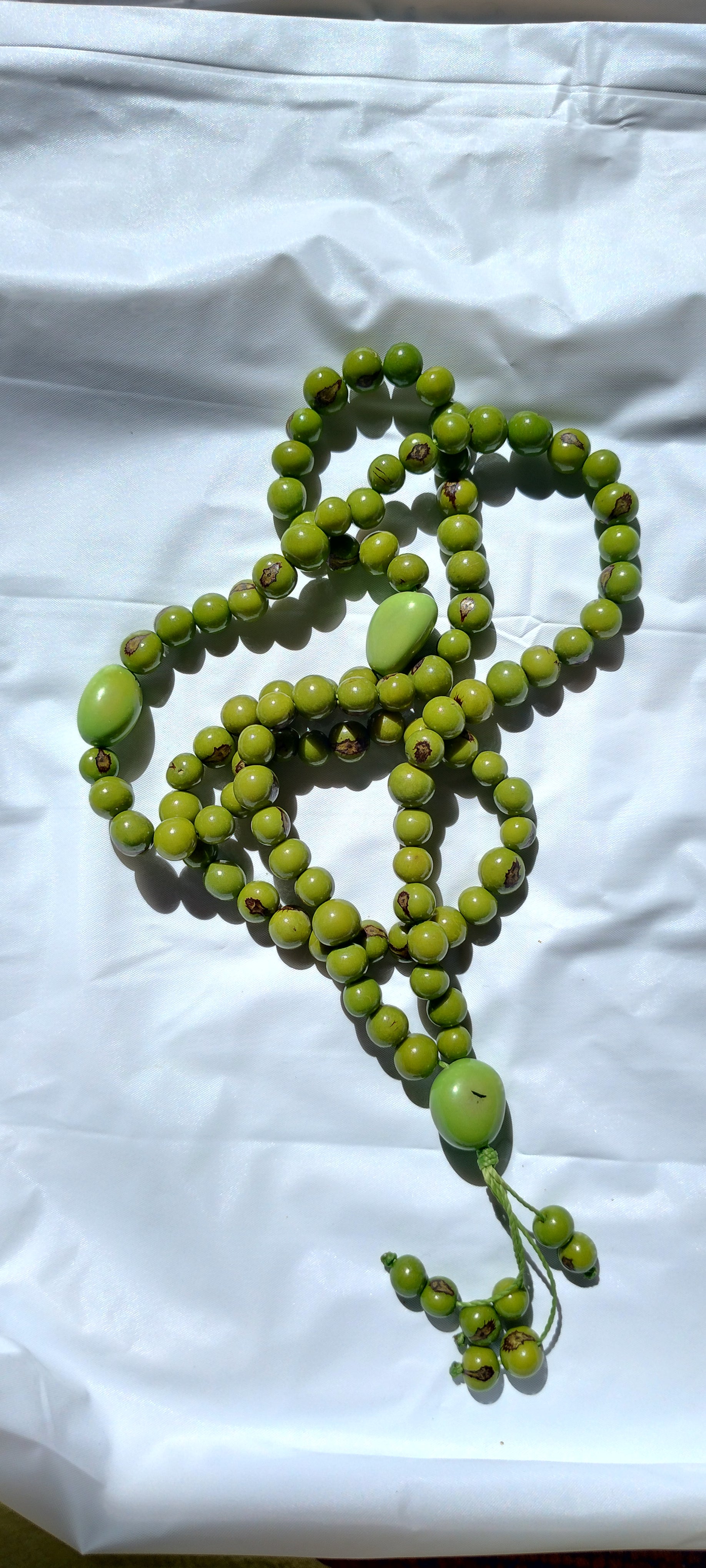 Joyería de tagua y marfil vegetal